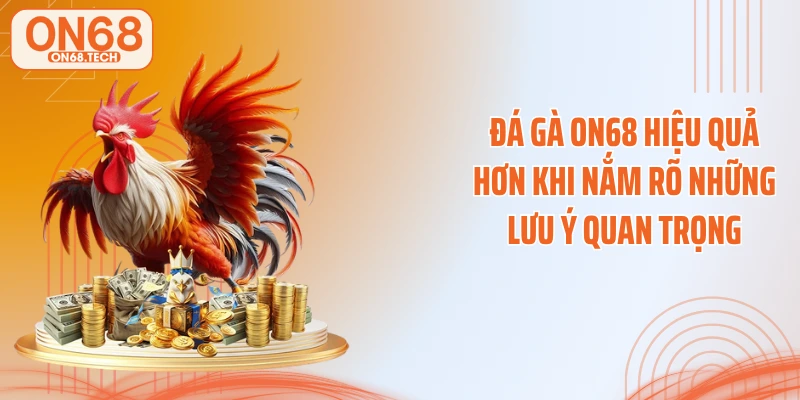 Đá gà ON68 hiệu quả hơn khi nắm rõ những lưu ý quan trọng