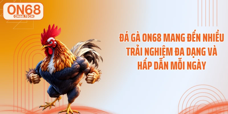 Đá gà ON68 mang đến nhiều trải nghiệm đa dạng và hấp dẫn mỗi ngày